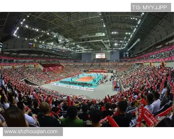 南京排球队运营揭秘:深度解析背后的管理与发展策略