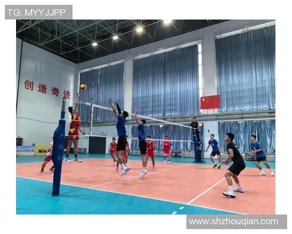 南京排球队个人能力排名创新高引发广泛关注与讨论